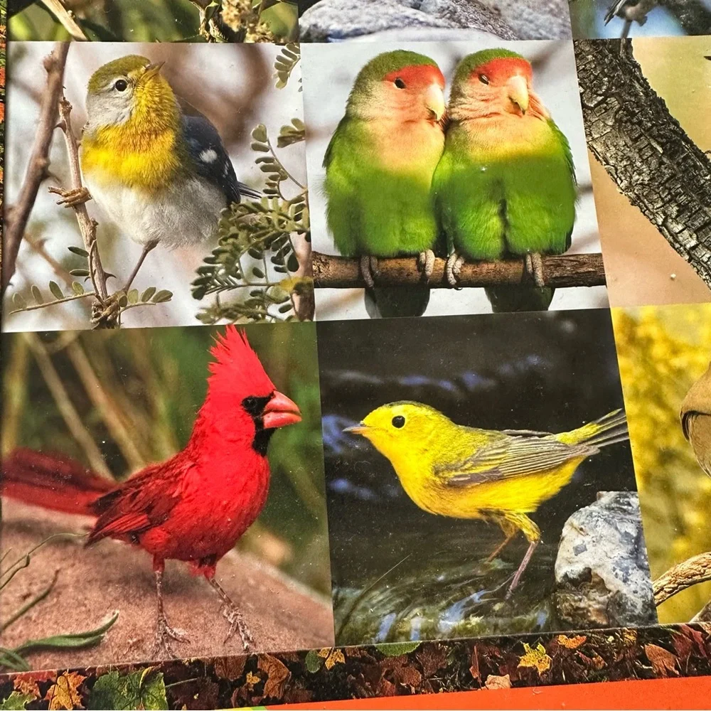 SPRINGBOK 500pc Wild SongBird jigsaw puzzle